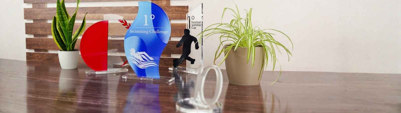 Targhe premio e Trofei in plexiglass personalizzati: